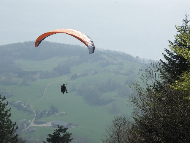 PICT0202 