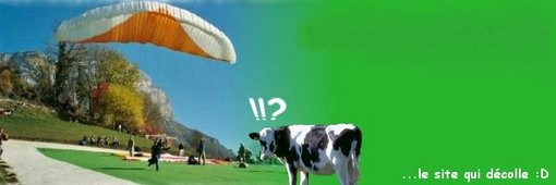 Vache deco